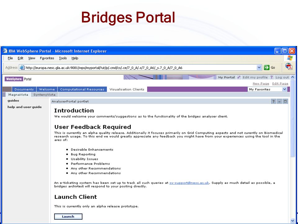 Sys-Bio Talk, 24 th Feb 2005 Bridges Portal