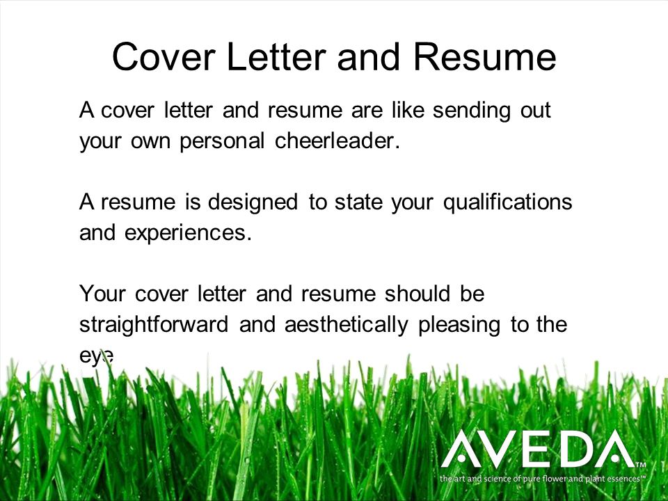 professional development cover letters and resumes ppt download