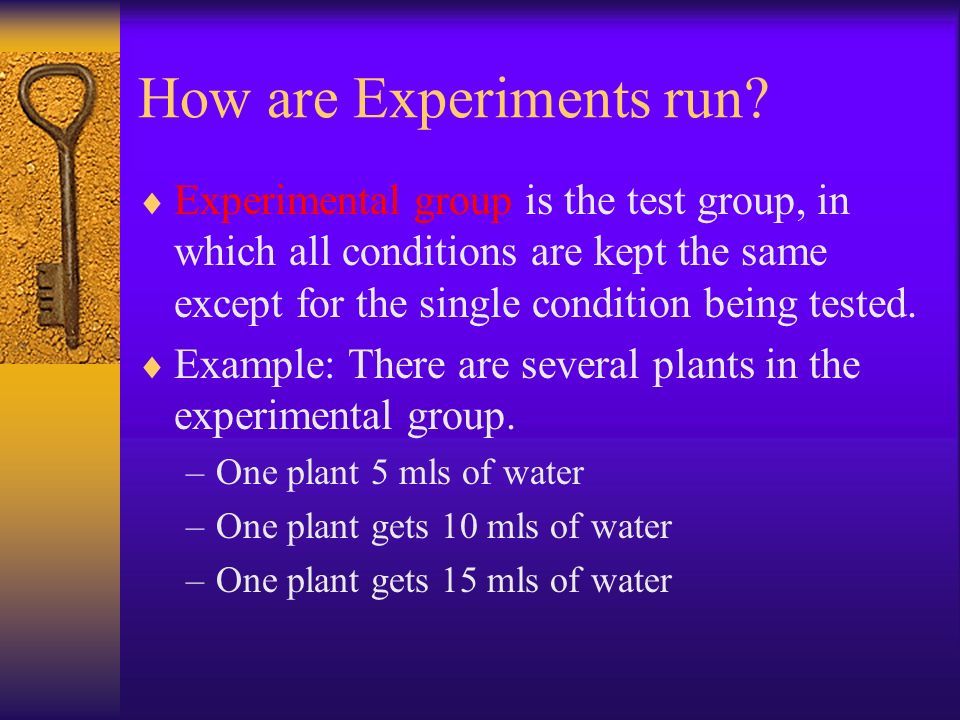 How are Experiments run.