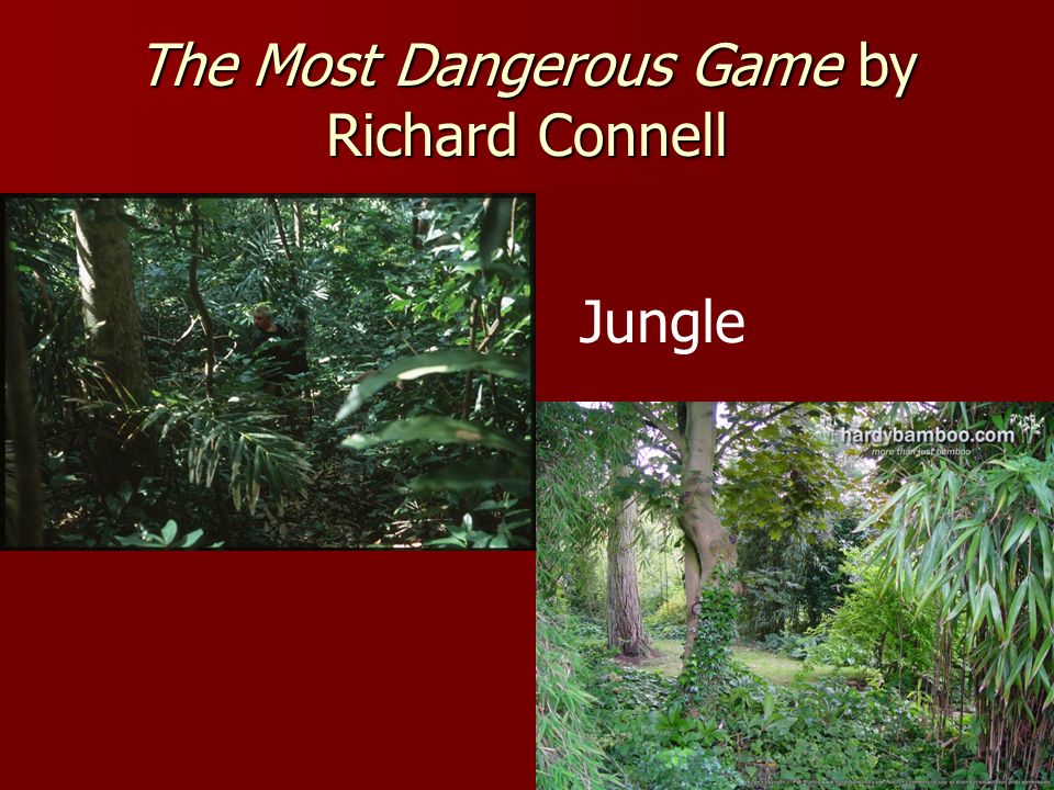 The Most Dangerous Game by Richard Connell Island