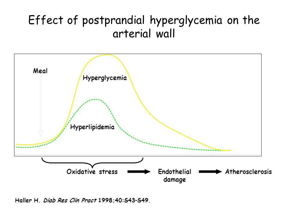 Effect of postprandial hyperglycemia on the arterial wall Meal Hyperglycemia Hyperlipidemia Haller H.