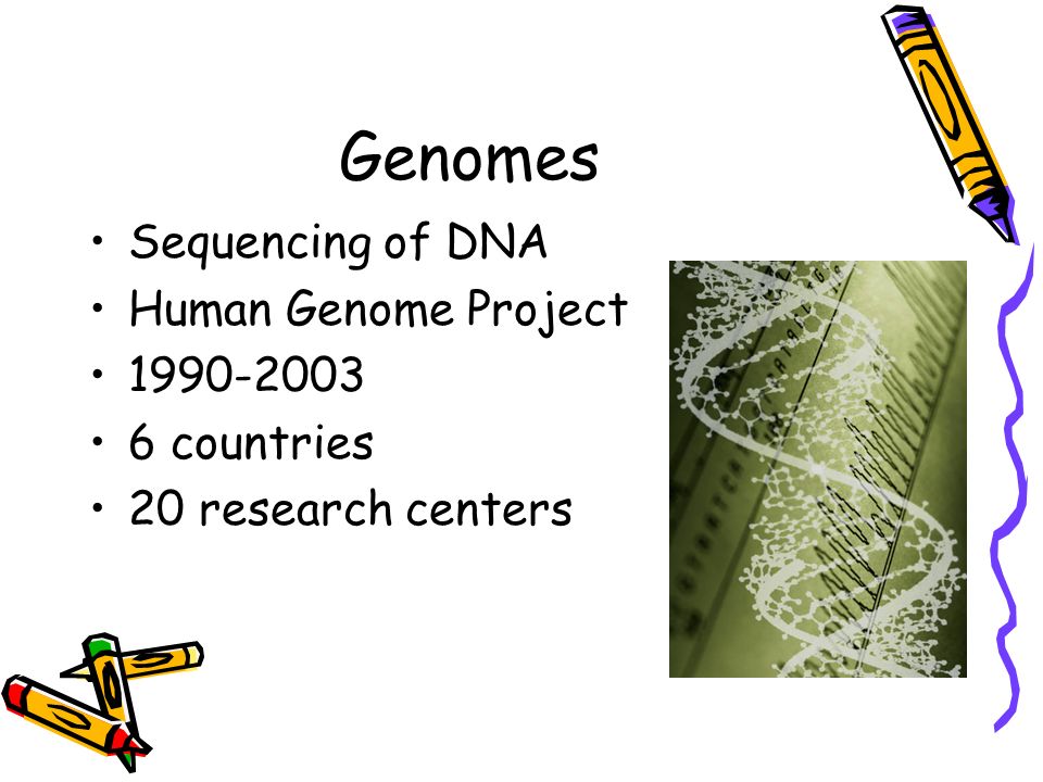 GenomesGenomes Chapter 21 Genomes Sequencing of DNA Human Genome Project countries 20 research centers. - ppt download