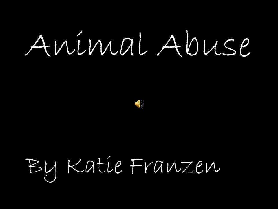 Animal Abuse I Need Love3:31Daylight For DeadeyesNew York Alternative By Katie Franzen