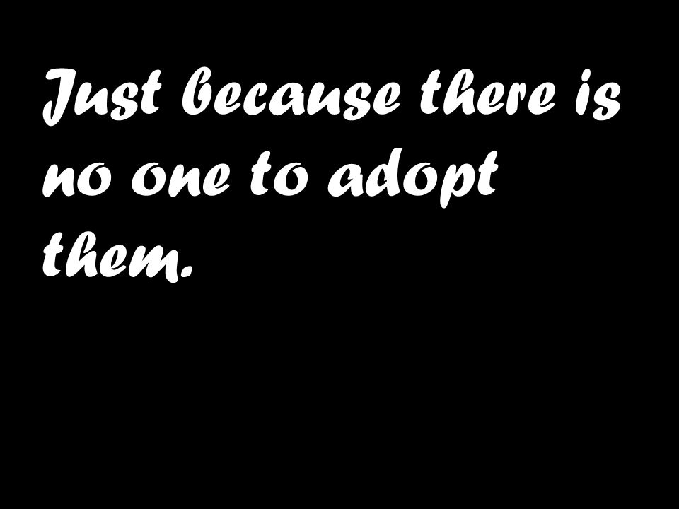 Just because there is no one to adopt them.