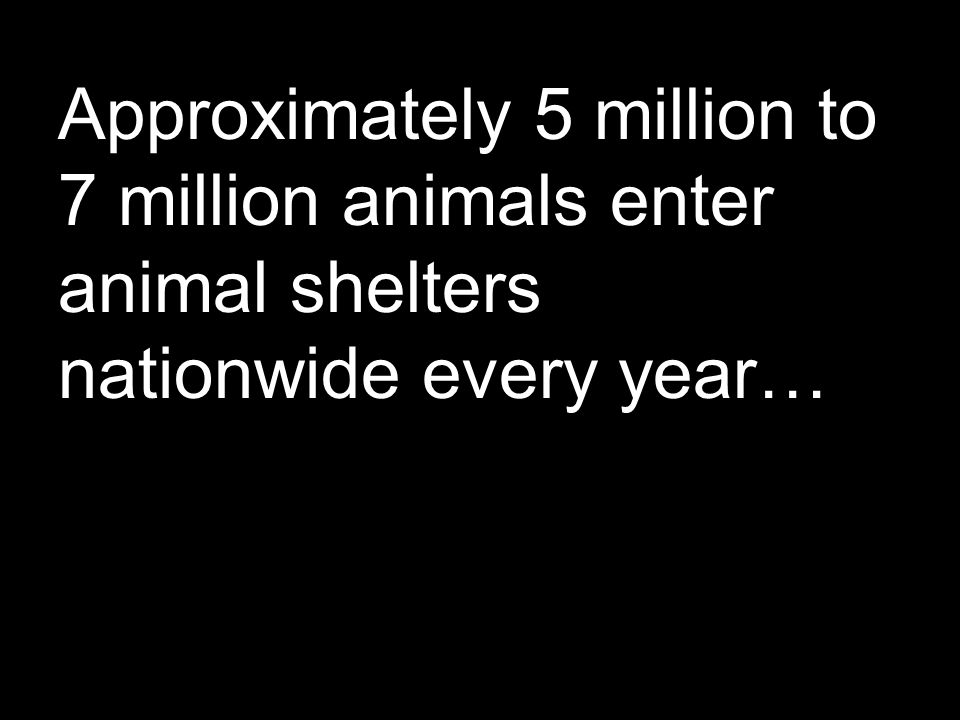 Approximately 5 million to 7 million animals enter animal shelters nationwide every year…