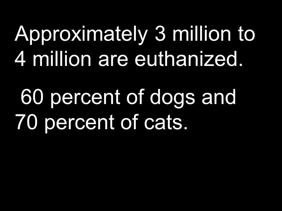 Approximately 3 million to 4 million are euthanized. 60 percent of dogs and 70 percent of cats.