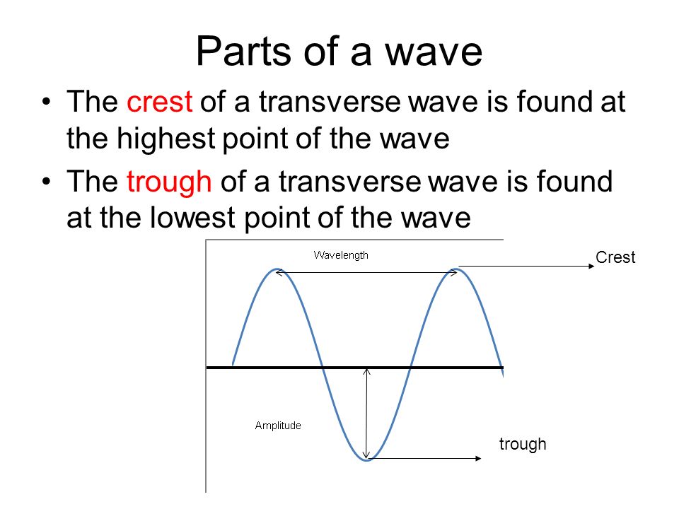 Parts of a wave The crest of a transverse wave is found at the highest point of the wave The trough of a transverse wave is found at the lowest point of the wave Crest trough