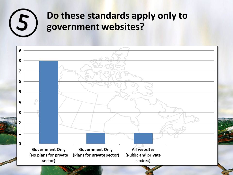 Do these standards apply only to government websites