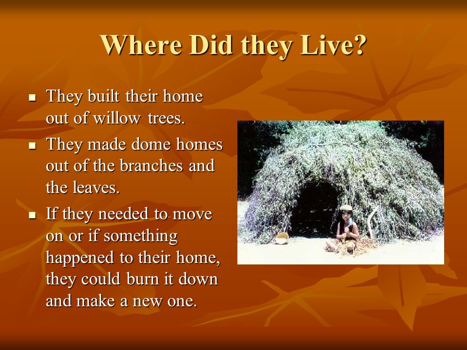 Where Did they Live. They built their home out of willow trees.