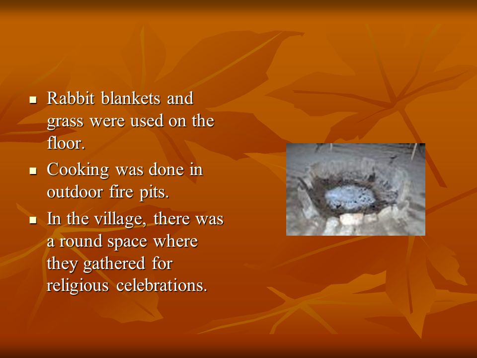 Rabbit blankets and grass were used on the floor. Rabbit blankets and grass were used on the floor.