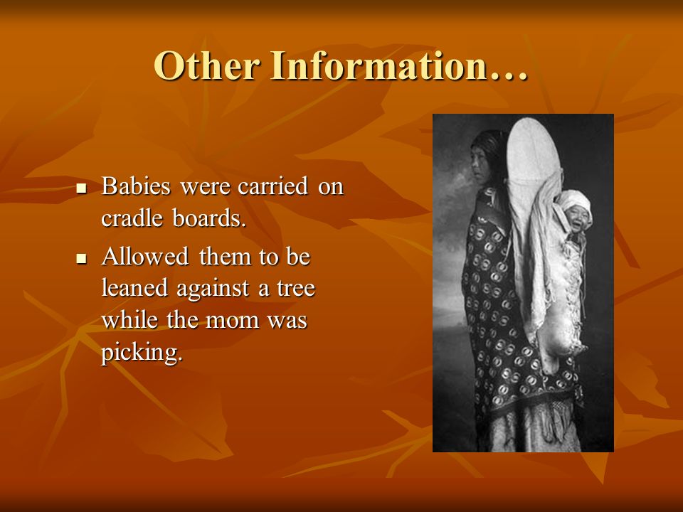 Other Information… Babies were carried on cradle boards.
