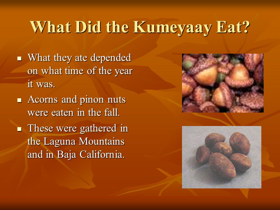 What Did the Kumeyaay Eat. What they ate depended on what time of the year it was.