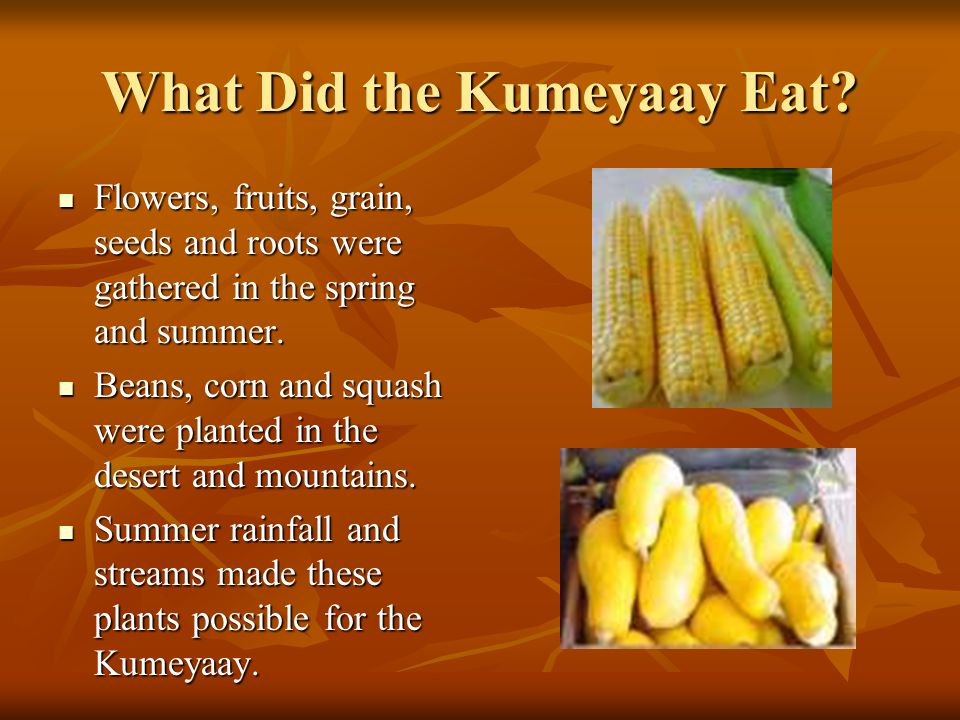 What Did the Kumeyaay Eat.