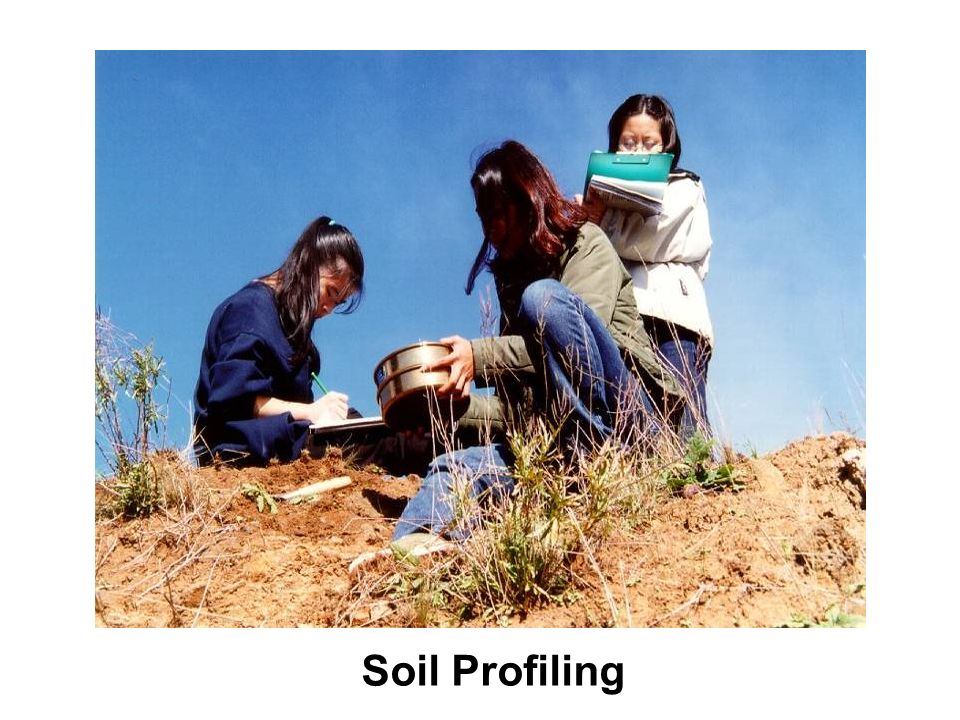 Soil Profiling