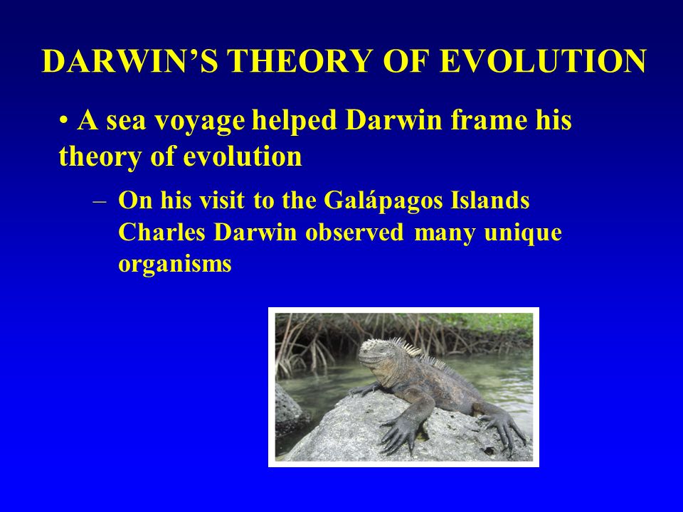 DARWIN’S THEORY OF EVOLUTION A sea voyage helped Darwin frame his theory of evolution –On his visit to the Galápagos Islands Charles Darwin observed many unique organisms