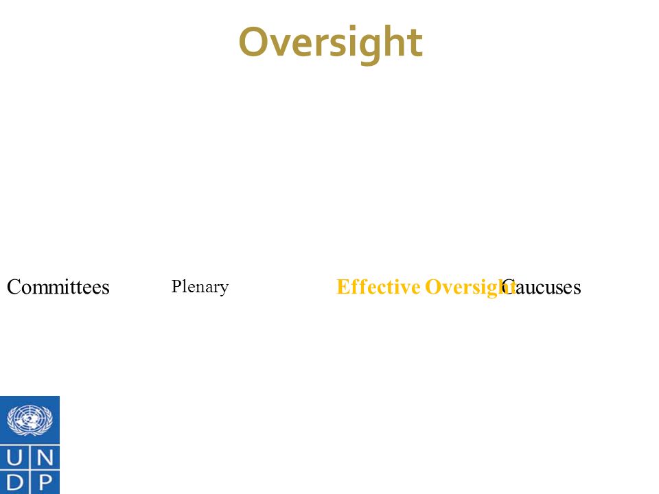7/1/11 Oversight Committees Plenary CaucusesEffective Oversight