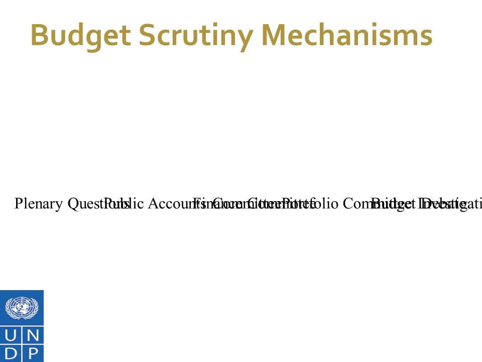 7/1/11 Budget Scrutiny Mechanisms Budget DebateFinance CommitteePublic Accounts CommitteePortfolio Committee InvestigationsPlenary Questions