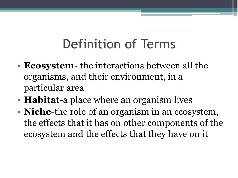 ECOLOGY. Definition of Terms Ecosystem- the interactions between all the  organisms, and their environment, in a particular area Habitat-a place  where. - ppt download