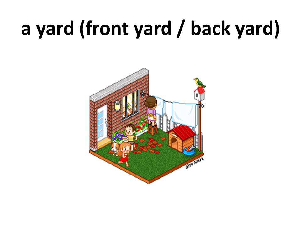 a yard (front yard / back yard)