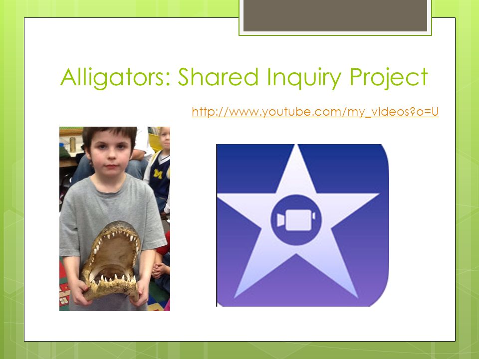Alligators: Shared Inquiry Project   o=U