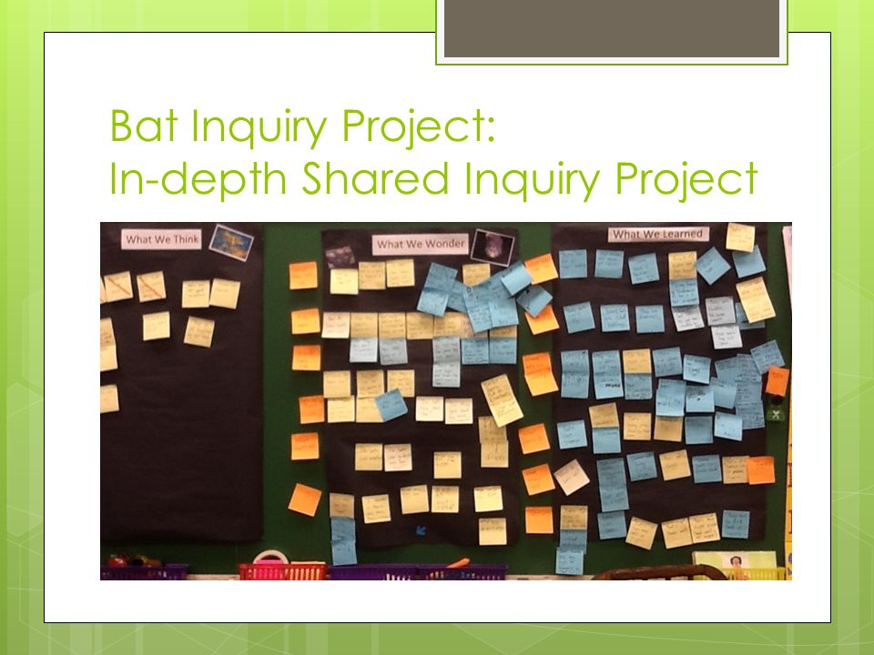 Bat Inquiry Project: In-depth Shared Inquiry Project
