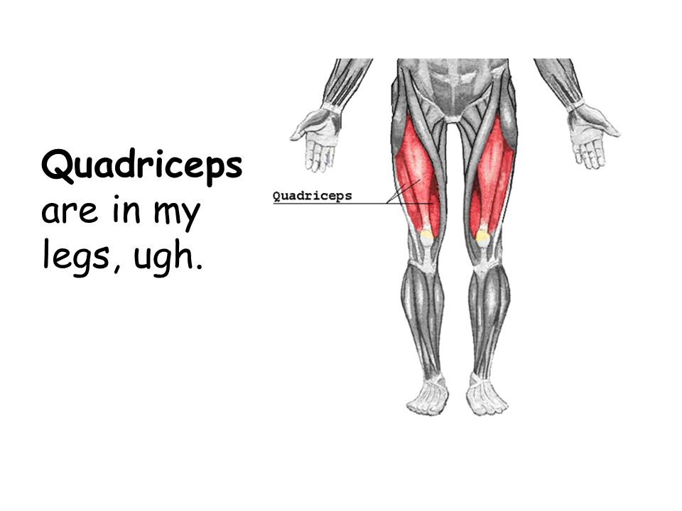 Quadriceps are in my legs, ugh.