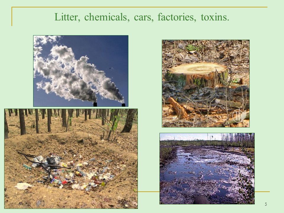 Toxic factory acid natural. Экология 7 класс. Chemical pollution of Water. Litter Damage. What pollutes ecology.