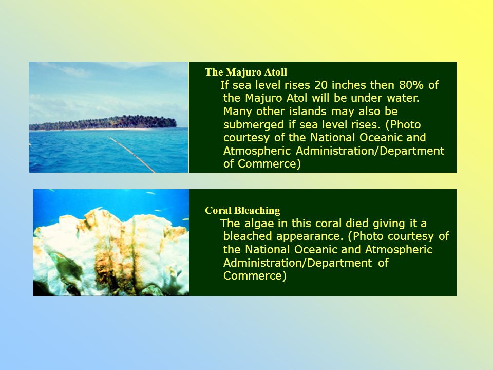 The Majuro Atoll If sea level rises 20 inches then 80% of the Majuro Atol will be under water.