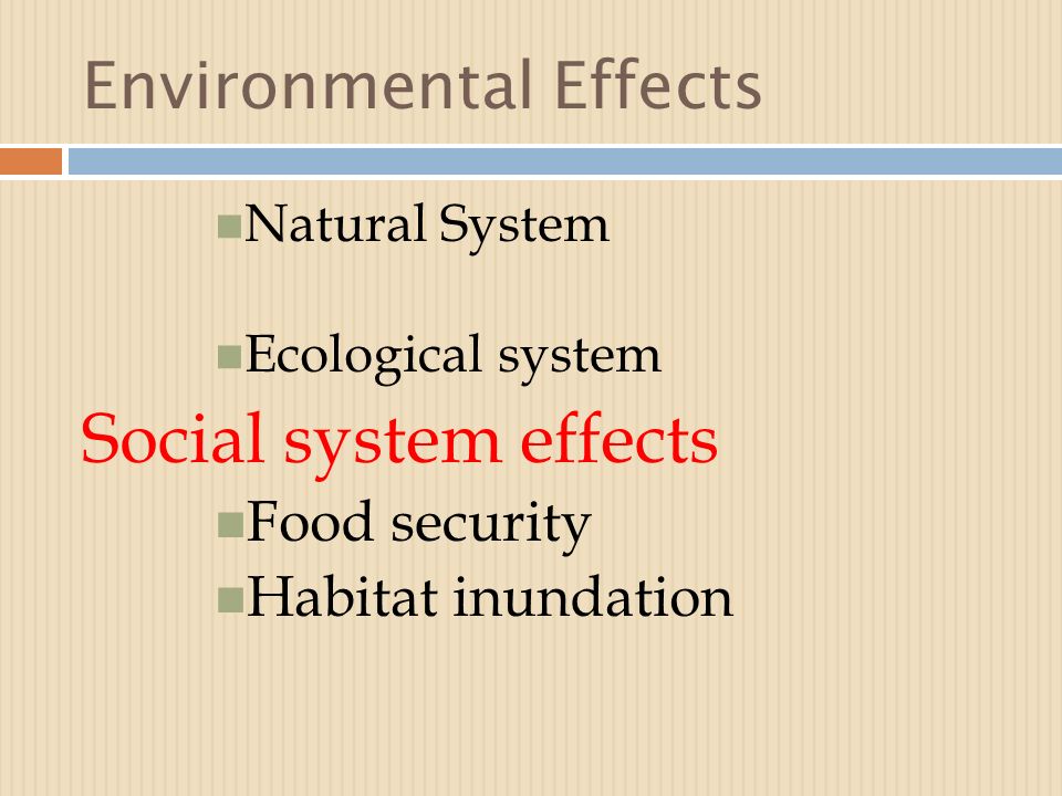 Environmental Effects Natural System Ecological system Social system effects Food security Habitat inundation