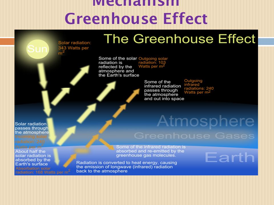 Mechanism Greenhouse Effect