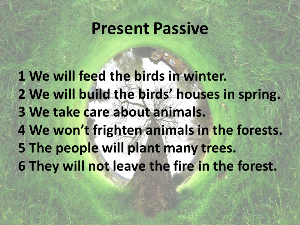 Present Passive 1 We will feed the birds in winter.