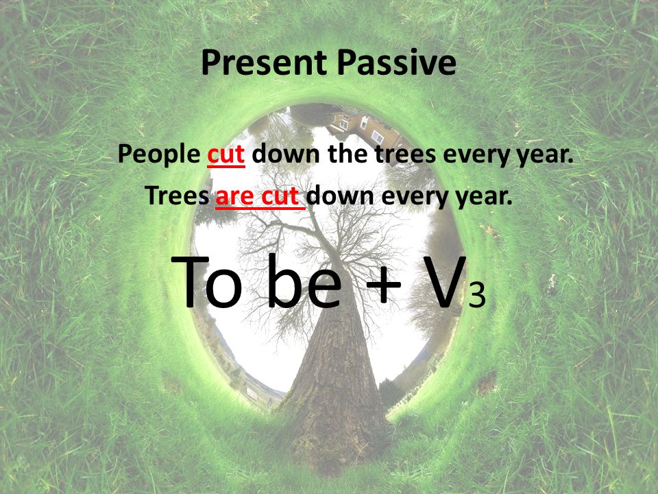 Present Passive People cut down the trees every year. Trees are cut down every year. To be + V 3