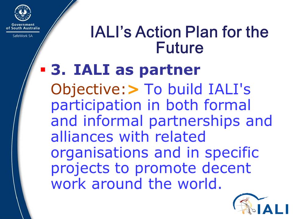 13 IALI’s Action Plan for the Future  3.
