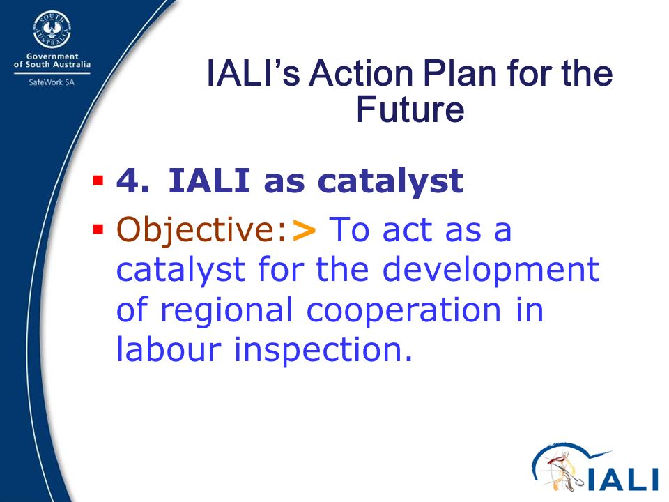 17 IALI’s Action Plan for the Future  4.