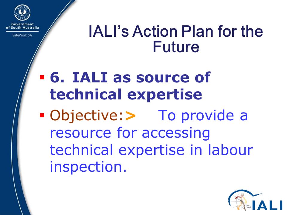 26 IALI’s Action Plan for the Future  6.