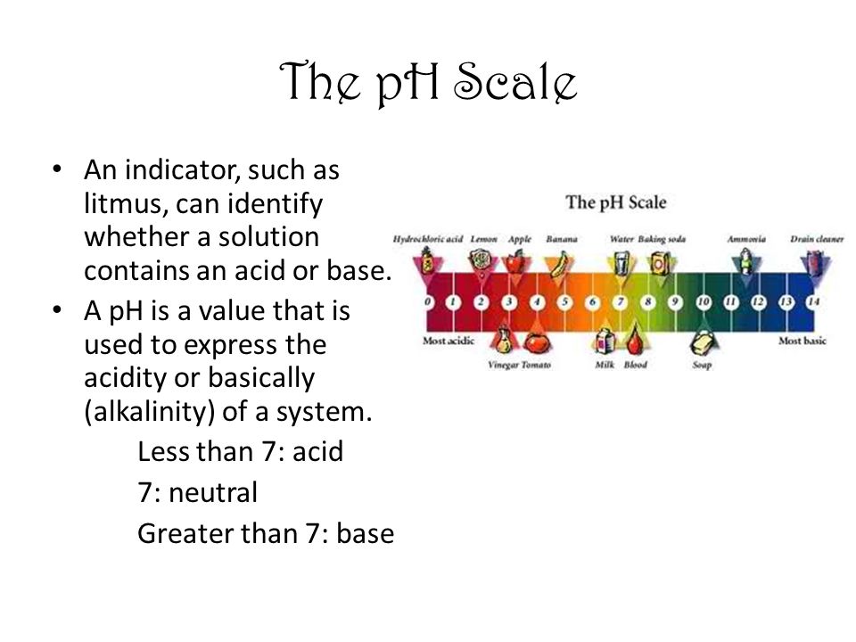 The pH Scale An indicator, such as litmus, can identify whether a solution contains an acid or base.