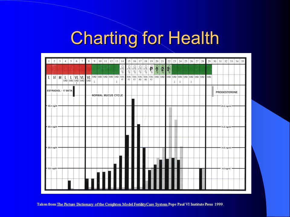 Creighton Charting