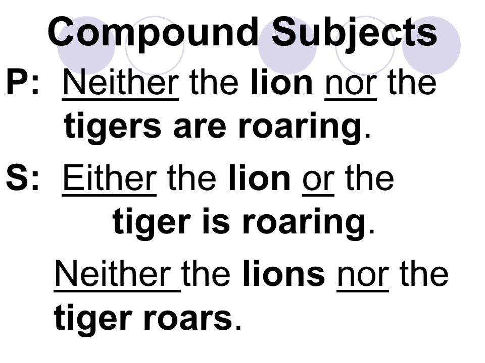 Compound Subjects P: Neither the lion nor the tigers are roaring.