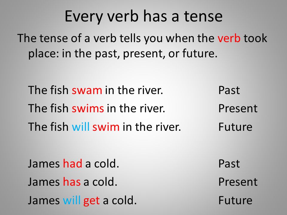 Every verb has a tense The tense of a verb tells you when the verb took place: in the past, present, or future.