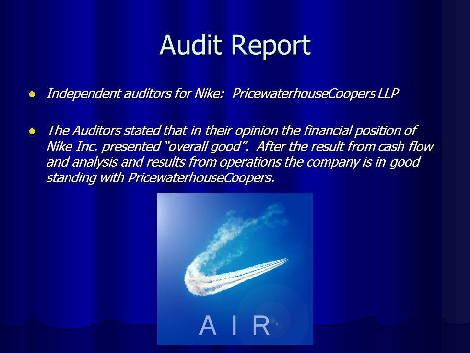 nike audit report