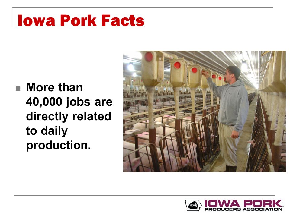 Iowa Pork Industry. Iowa Pork Facts Iowa #1 Pork Producing State In U.S ...