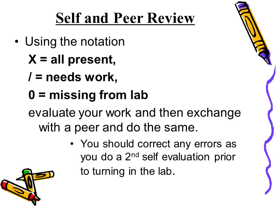 Self and Peer Review Using the notation X = all present, / = needs work, 0 = missing from lab evaluate your work and then exchange with a peer and do the same.