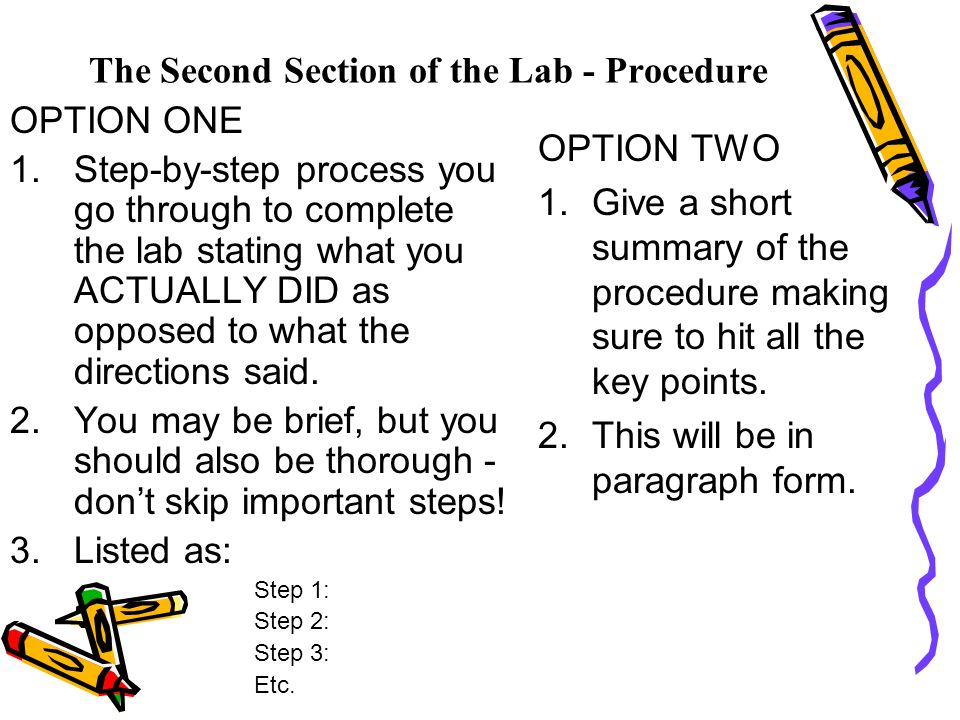 The Second Section of the Lab - Procedure OPTION ONE 1.Step-by-step process you go through to complete the lab stating what you ACTUALLY DID as opposed to what the directions said.