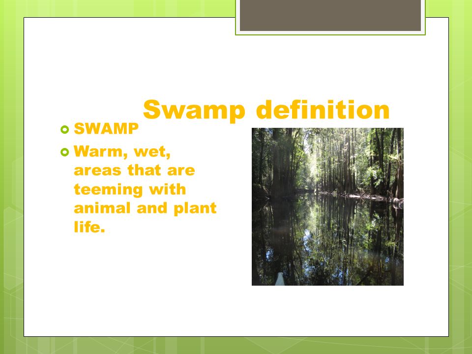 Swamp By Will Bernhard. Swamp definition  SWAMP  Warm, wet, areas that  are teeming with animal and plant life. - ppt download