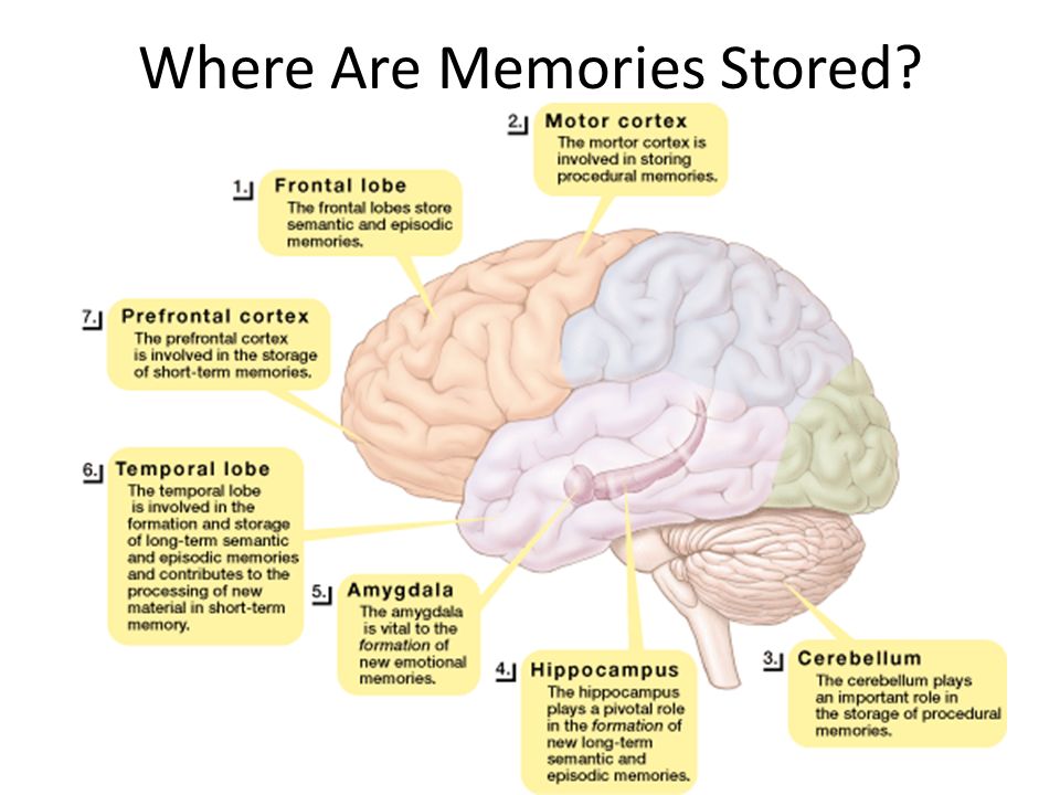 Types Of Long Term Memory Explicit Memories Episodic Memories Semantic mnemonic-devices-help-students-retain-information