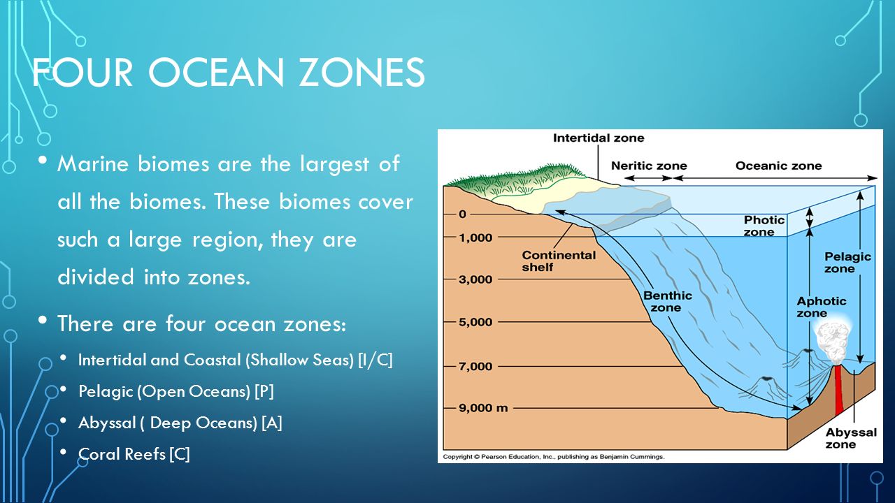 four major ocean zones