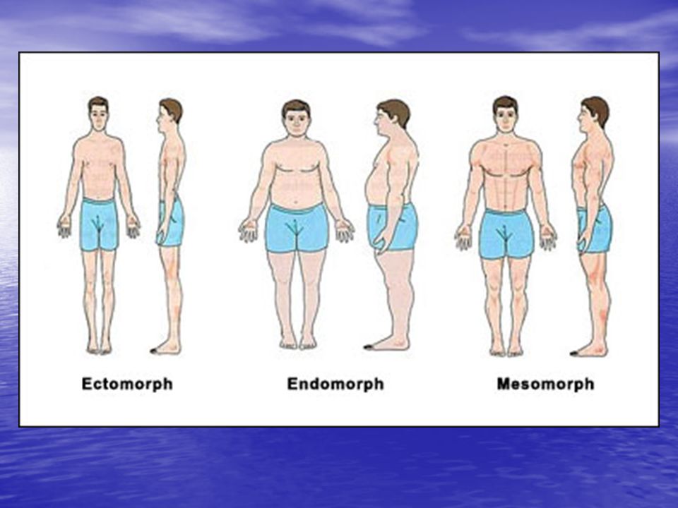 Presentation on theme: "Physique/Somatotype Consider the link between body...