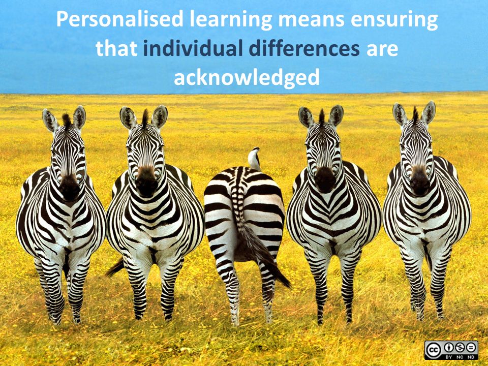 Personalised learning means ensuring that individual differences are acknowledged