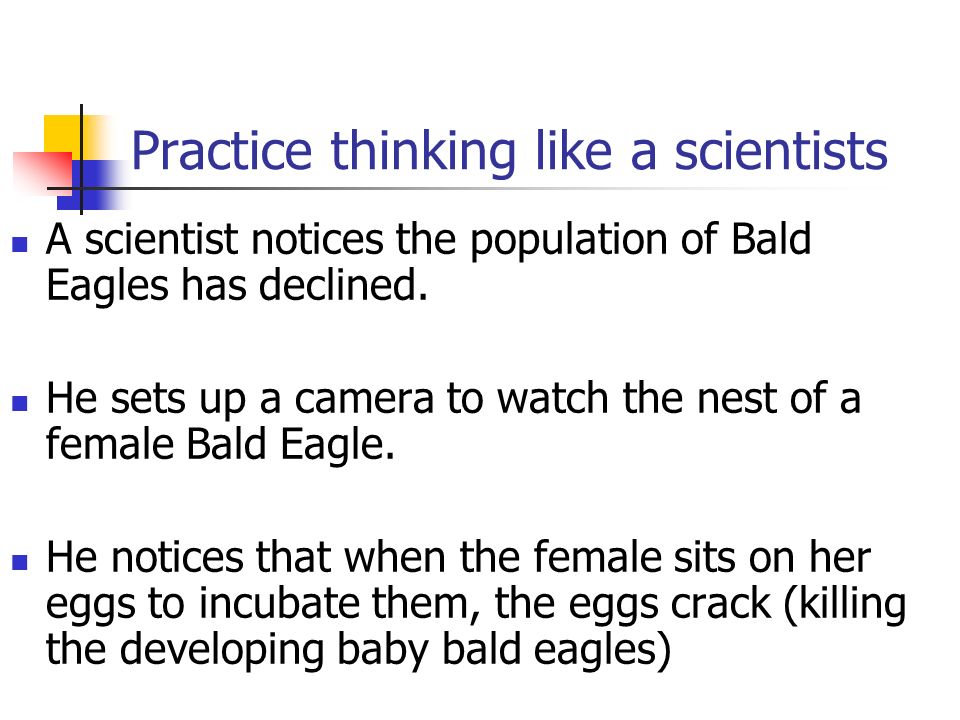 Practice thinking like a scientists A scientist notices the population of Bald Eagles has declined.