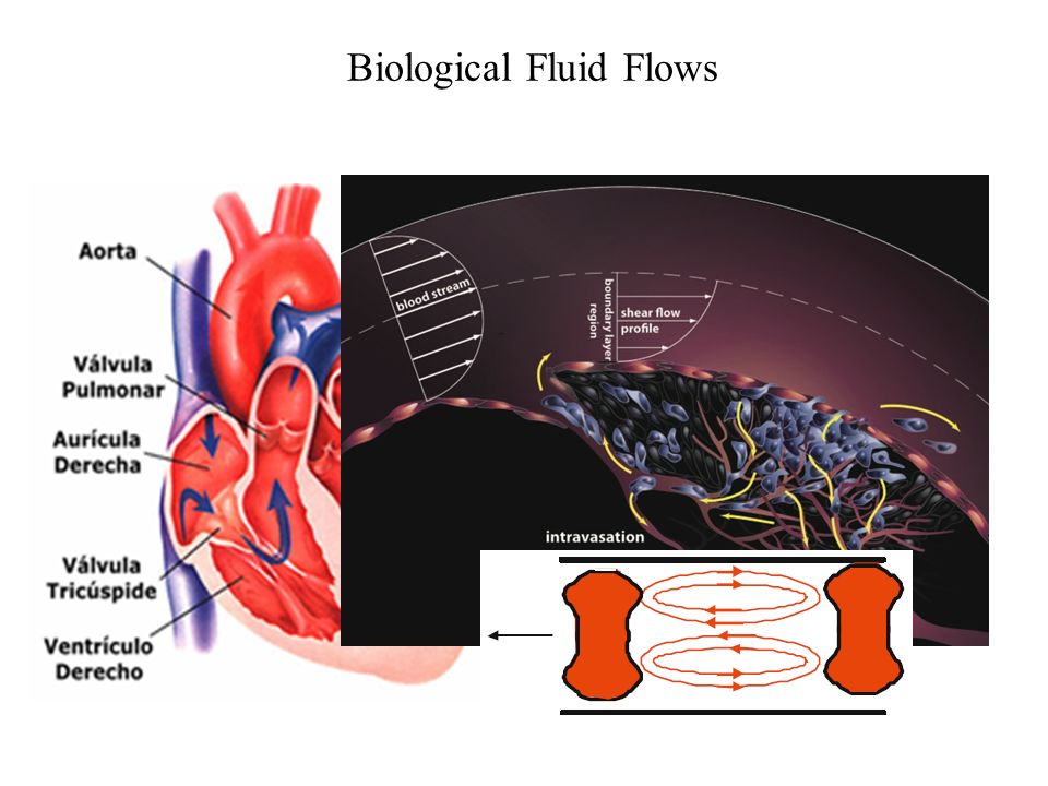 Weather & Fluid Flows